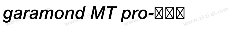 garamond MT pro字体转换